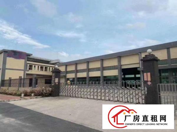  石排经典独院厂房4500平方米出租，可分租
