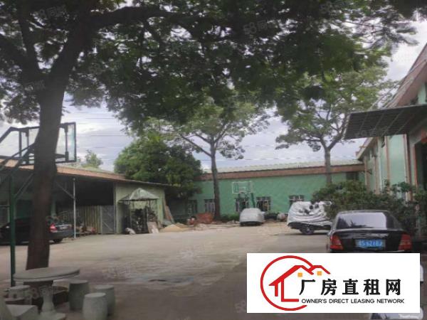  石排经典独院厂房4500平方米出租，可分租