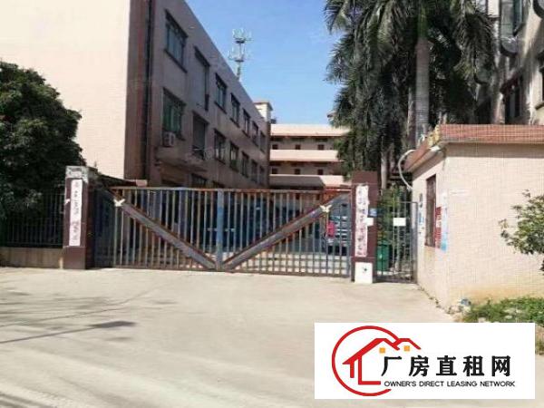  石排原房东700方可实量。价格12可谈周边无居民
