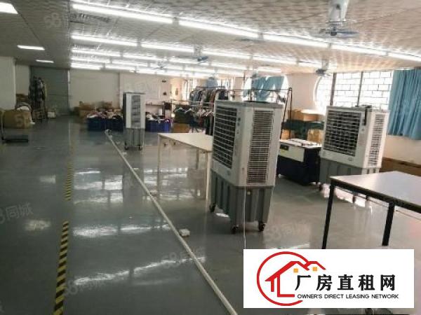  石排原房东700方可实量。价格12可谈周边无居民