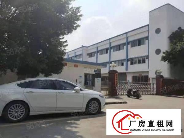  石排原房东700方可实量。价格12可谈周边无居民
