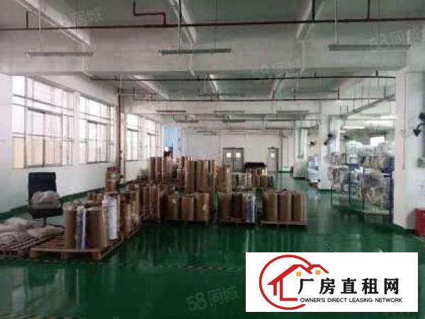 全石排镇有价值的厂房在这里（原房东超大空地独院标准厂房）