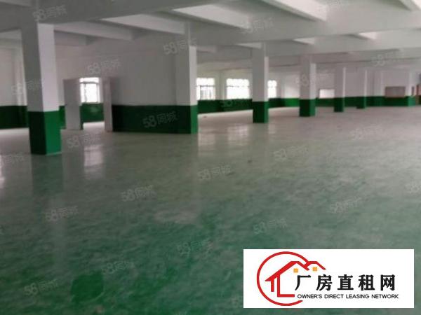  全石排镇有价值的厂房在这里（原房东超大空地独院标准厂房）