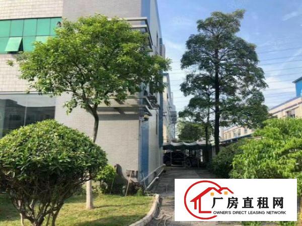  石排镇正规工业区里面，万级无尘车间实际面积，大小可分租，