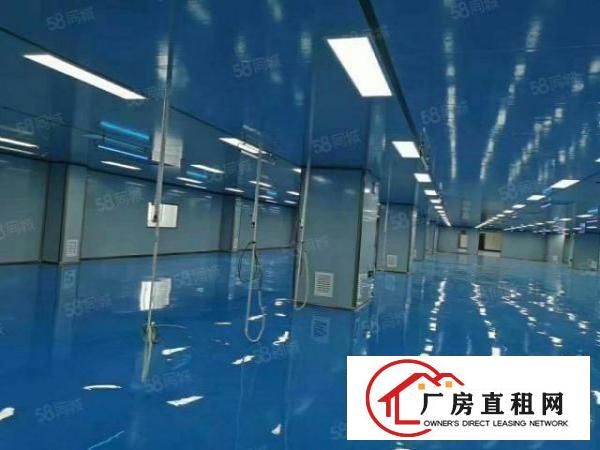  石排镇正规工业区里面，万级无尘车间实际面积，大小可分租，