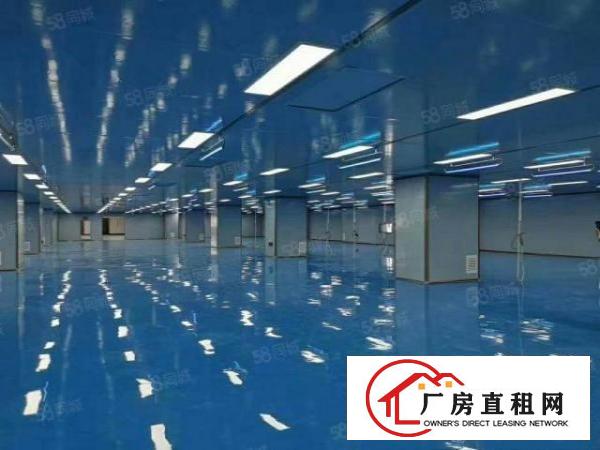  石排镇正规工业区里面，万级无尘车间实际面积，大小可分租，