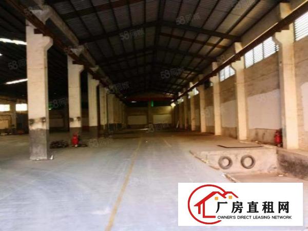  石排单一层砖墙到顶厂房4950平方招租，滴水八米带行车可分租