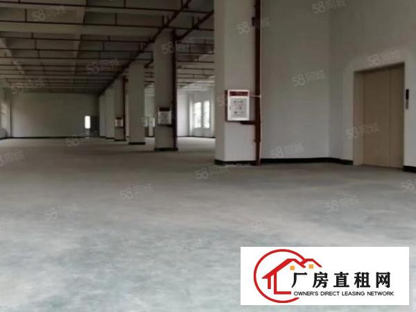  石排楼上600平方新出。原房东特价尾盘。看上就租