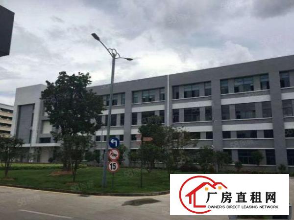  石排楼上600平方新出。原房东特价尾盘。看上就租