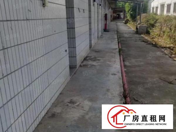  石排独门独院单一层厂房出租证件齐全324国道边空地超大