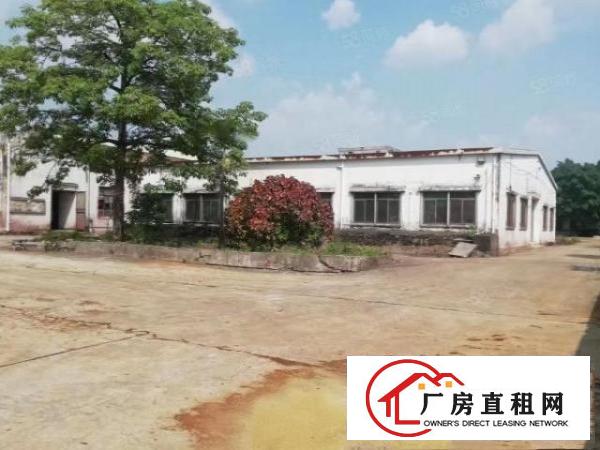  石排独门独院单一层厂房出租证件齐全324国道边空地超大