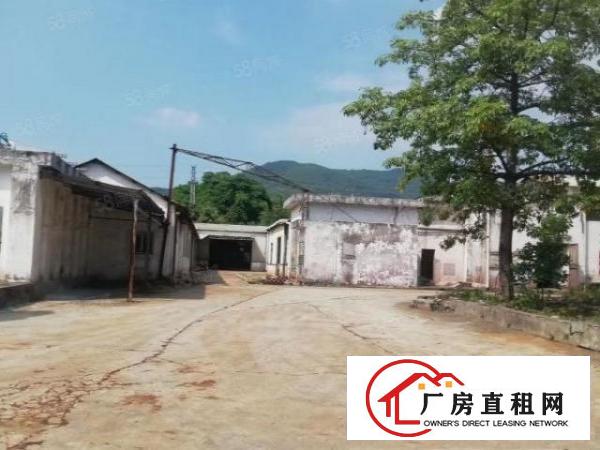  石排独门独院单一层厂房出租证件齐全324国道边空地超大