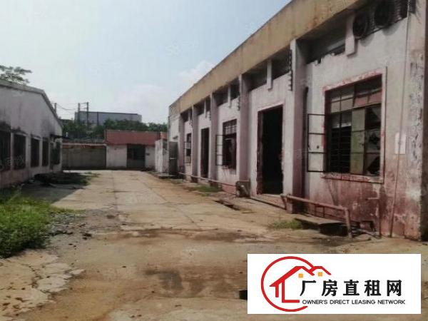  石排独门独院单一层厂房出租证件齐全324国道边空地超大