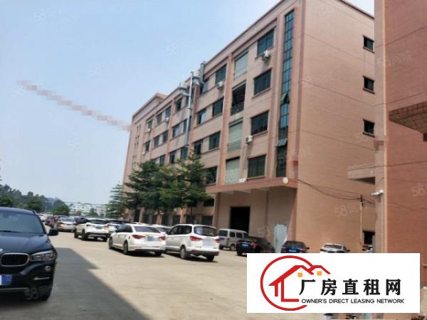  石排标准一楼580方出租，租20元，水电齐全，园区规划整洁