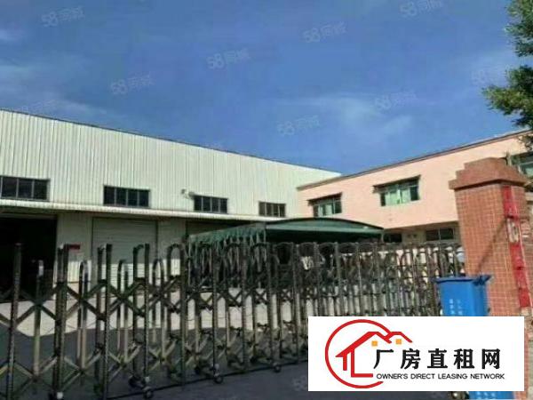  石排8米滴水独院钢构厂房招租