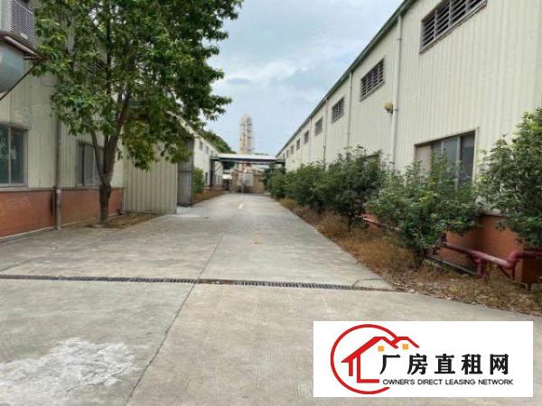  石排8米滴水独院钢构厂房招租