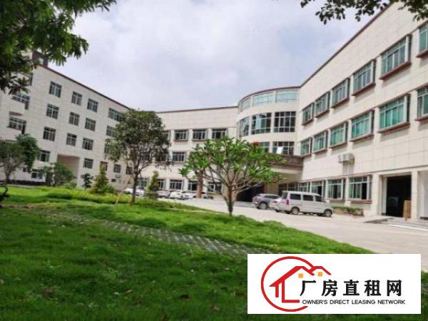  石排镇国有双证花园式独门独院厂房出租总面积12580平方