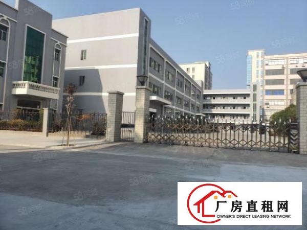  石排镇中心工业园标准一楼厂房800平方招租，可办环评