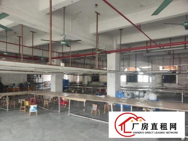  石排镇中心工业园标准一楼厂房800平方招租，可办环评