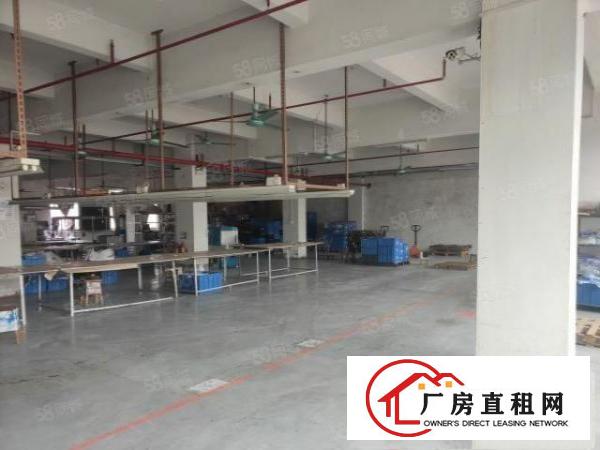  石排镇中心工业园标准一楼厂房800平方招租，可办环评