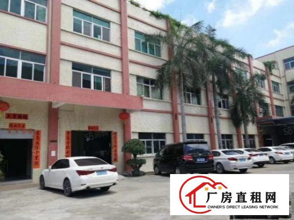  石排原房东独院，工业园区厂房分租二楼2000平