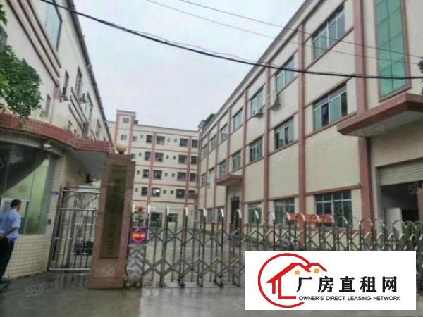  石排原房东独院，工业园区厂房分租二楼2000平