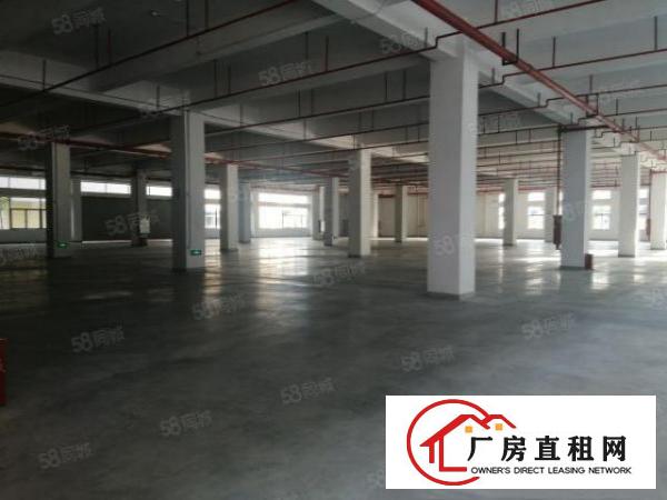  石排原房东独院，工业园区厂房分租二楼2000平