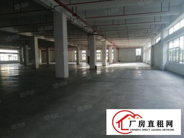  石排原房东独院，工业园区厂房分租二楼2000平