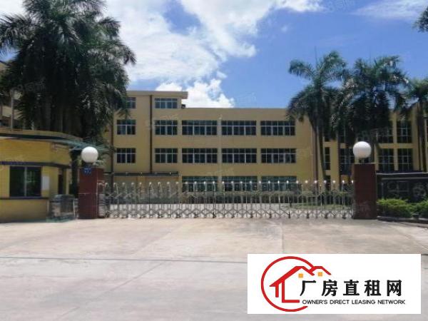  石排原房东独院，工业园区厂房分租二楼2000平