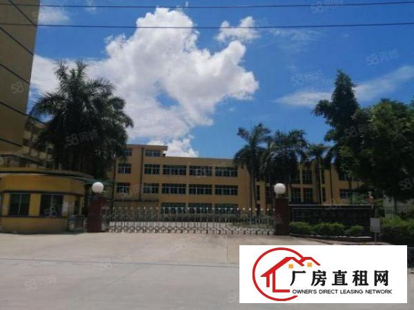  石排原房东独院，工业园区厂房分租二楼2000平