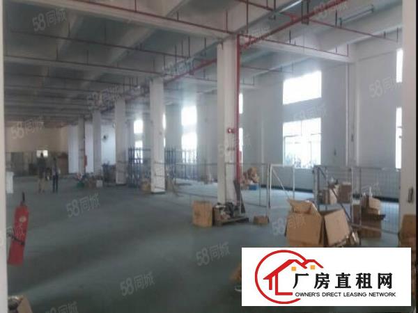  石排原房东独院厂房三楼分租700平方，现成豪华办公室现成水电