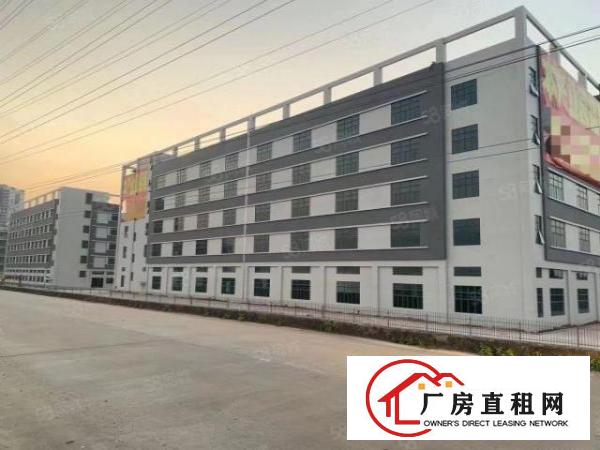  东莞石排镇原房东出租3楼2000平方带装修办公室没可分租一半