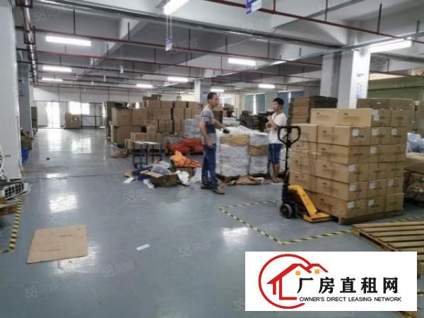 东莞石排镇原房东出租3楼2000平方带装修办公室没可分租一半