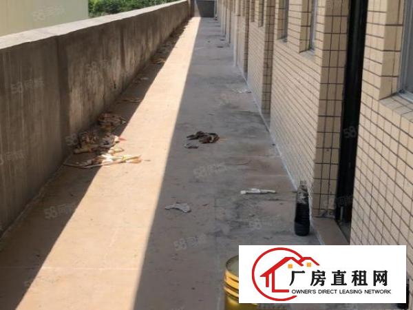  工业园区重工业全新钢构厂房（滴水10米）适合各种行业