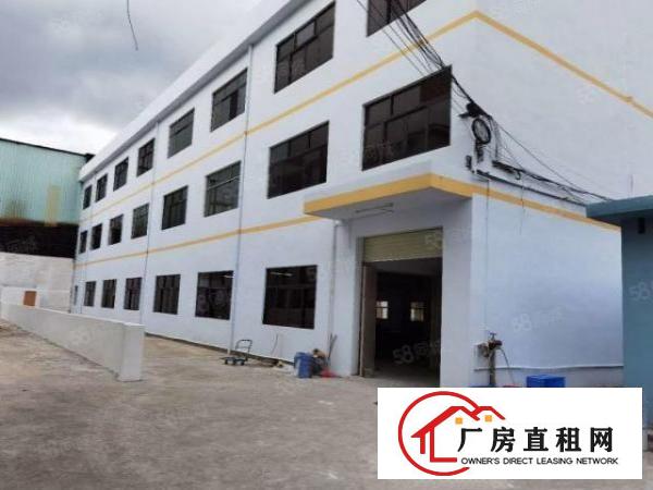  石排新出翻新厂房2000，自带卸货平台，适合各种行业