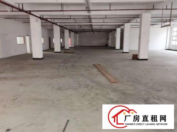  石排新出翻新厂房2000，自带卸货平台，适合各种行业