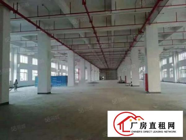 石排新出翻新厂房2000，自带卸货平台，适合各种行业