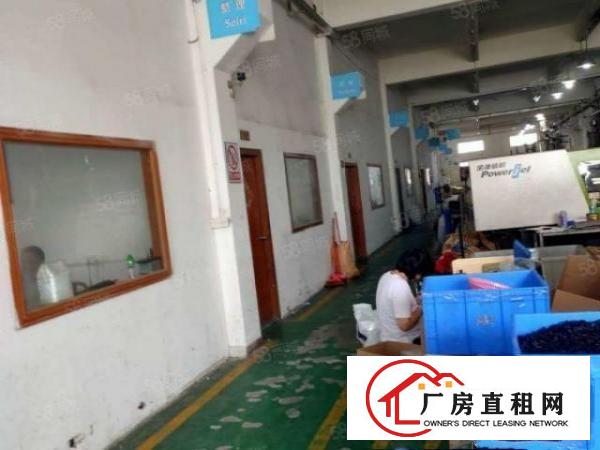  石排楼上5米高带牛角1830方标准厂房租14元，现成水电装修