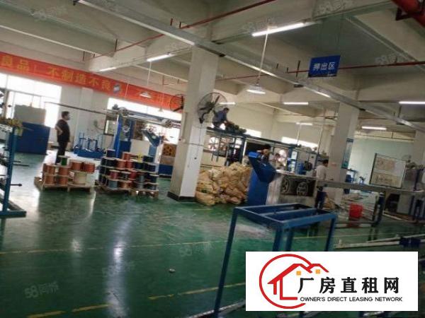  石排楼上5米高带牛角1830方标准厂房租14元，现成水电装修