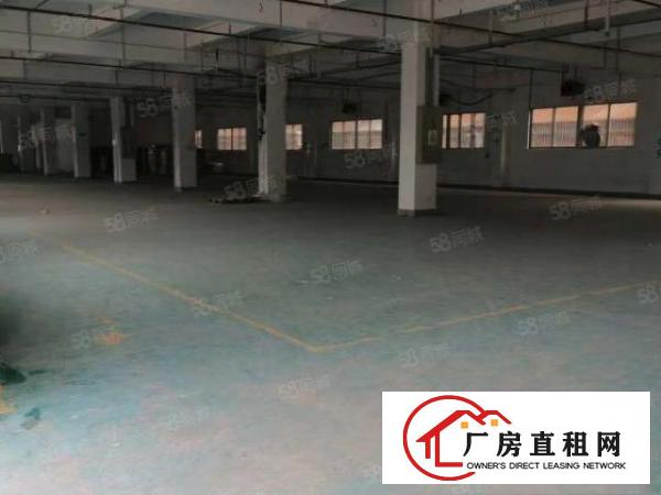  石排楼上5米高带牛角1830方标准厂房租14元，现成水电装修