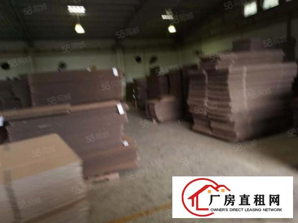  石排镇原房东砌墙到顶独门独院单一层厂房招租！8000块打包！