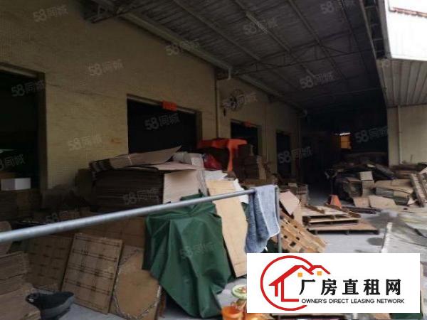  石排镇原房东砌墙到顶独门独院单一层厂房招租！8000块打包！