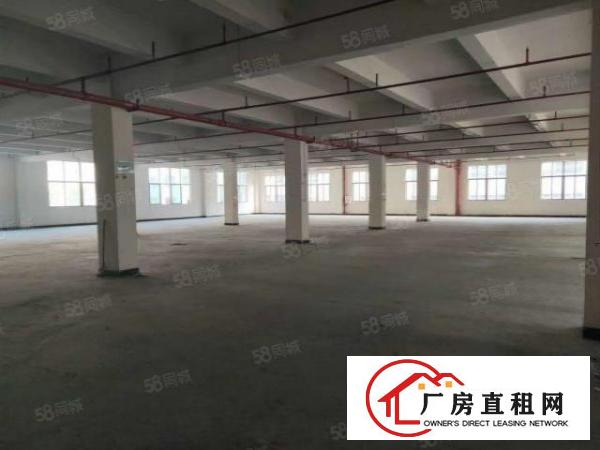  石排赤坎标准一楼1100方出租租20元，水电齐全，有现成行车