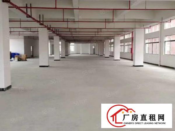  石排赤坎标准一楼1100方出租租20元，水电齐全，有现成行车