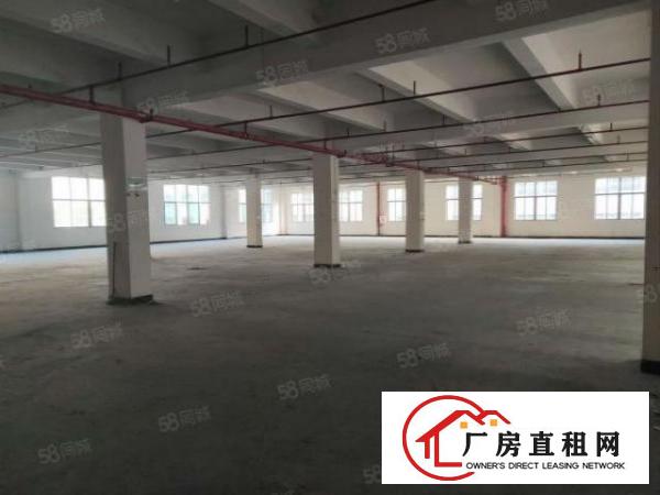  石排赤坎标准一楼1100方出租租20元，水电齐全，有现成行车