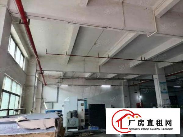  石排赤坎标准一楼1100方出租租20元，水电齐全，有现成行车