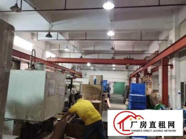  东莞石排镇独院标准厂房出租证件齐全，环评秒过！交通便利