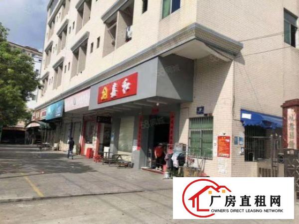  东莞石排镇独院标准厂房出租证件齐全，环评秒过！交通便利