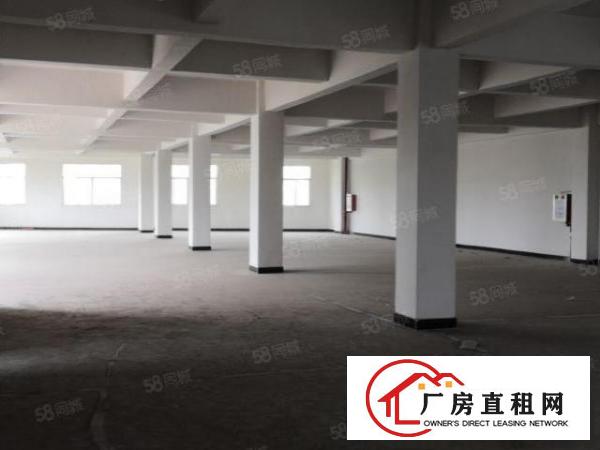  石排标准一楼850方出租，租20元，水电齐全，光线充足