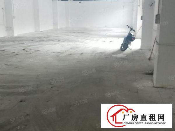  石排标准一楼850方出租，租20元，水电齐全，光线充足